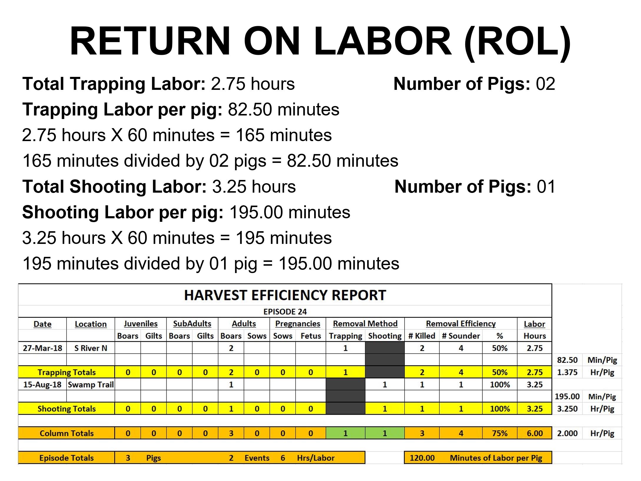 Episode 24 Return on Labor