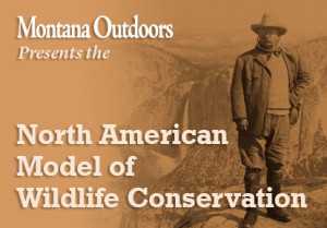 North American Wildlife Conservation Model